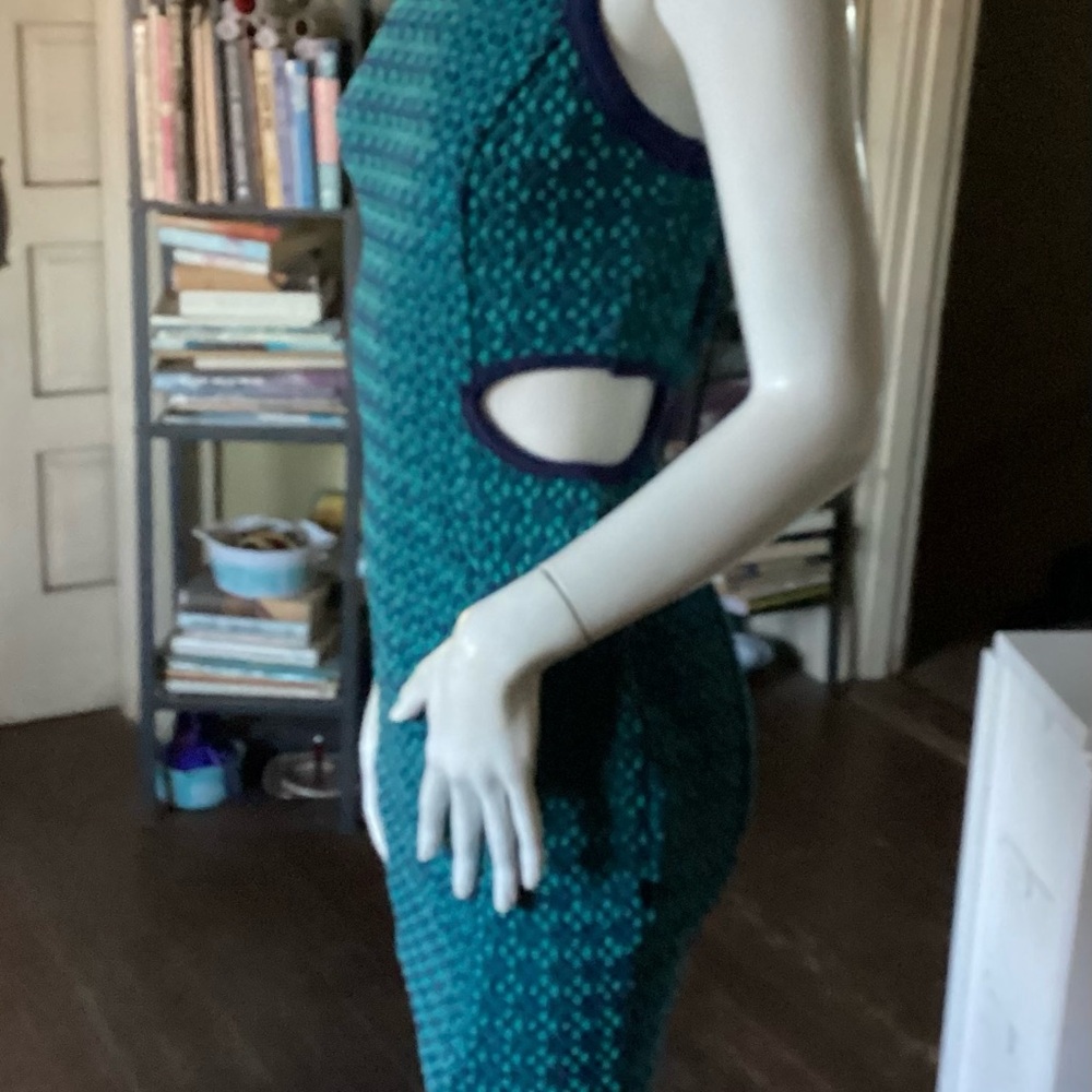 NWT INA cutout